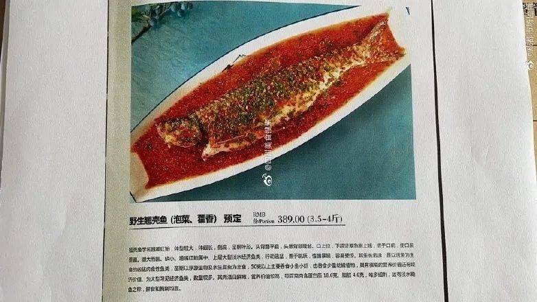 admin 第47页