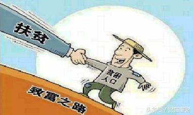 2025精准资料免费资料警惕虚假宣传-详细解答、解释与落实